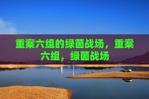 重案六组的绿茵战场，重案六组，绿茵战场