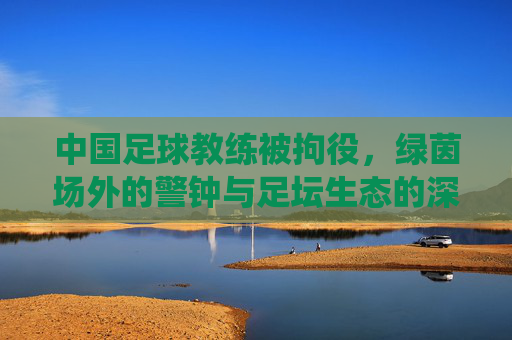 中国足球教练被拘役，绿茵场外的警钟与足坛生态的深层反思，教练拘役事件敲响警钟，中国足球生态的深层反思