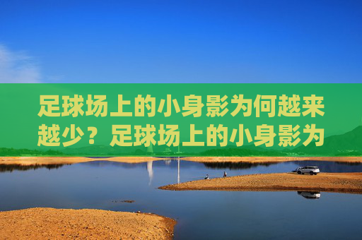 足球场上的小身影为何越来越少?足球场上的小身影为何越来越少? 足球场上的小身影为何越来越少?足球场上的小身影为何越来越少?