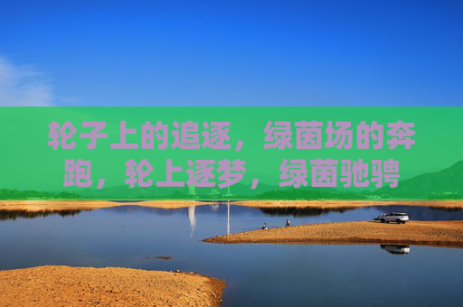 轮子上的追逐，绿茵场的奔跑，轮上逐梦，绿茵驰骋