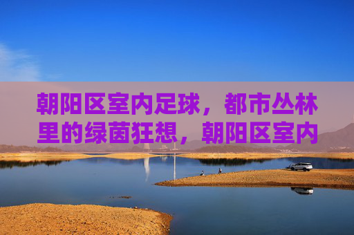 朝阳区室内足球，都市丛林里的绿茵狂想，朝阳区室内足球，都市丛林的绿茵狂想