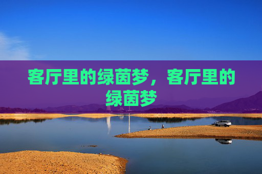 客厅里的绿茵梦，客厅里的绿茵梦
