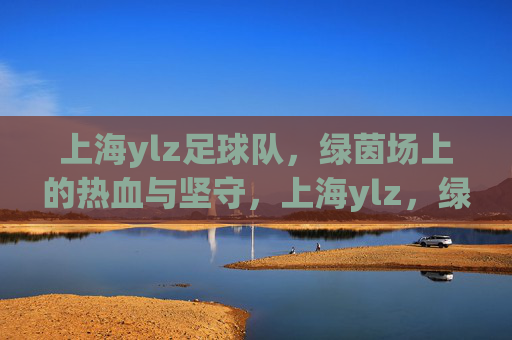 上海ylz足球队，绿茵场上的热血与坚守，上海ylz，绿茵场上的热血坚守