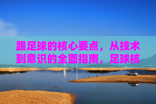 踢足球的核心要点，从技术到意识的全面指南，足球核心要点，技术与意识的全面指南