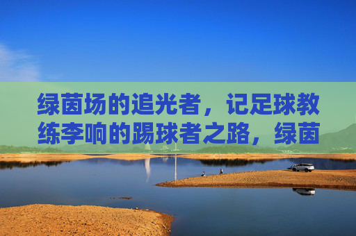 绿茵场的追光者,记足球教练李响的踢球者之路,绿茵追光者,李响踢球者之路 绿茵场的追光者,记足球教练李响的踢球者之路,绿茵追光者,李响踢球者之路