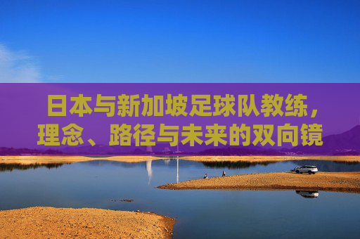 日本与新加坡足球队教练，理念、路径与未来的双向镜鉴，日新足球教练理念、路径与未来的双向镜鉴