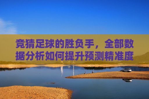 竞猜足球的胜负手，全部数据分析如何提升预测精准度，竞猜足球胜负手，数据分析提升预测精准度