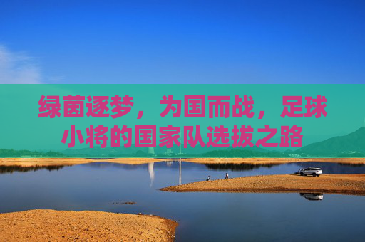 绿茵逐梦,为国而战,足球小将的国家队选拔之路 绿茵逐梦,为国而战,足球小将的国家队选拔之路