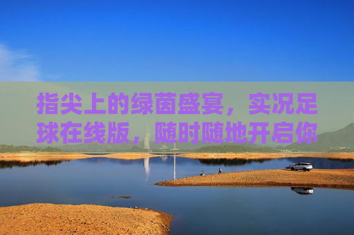 指尖上的绿茵盛宴，实况足球在线版，随时随地开启你的足球梦