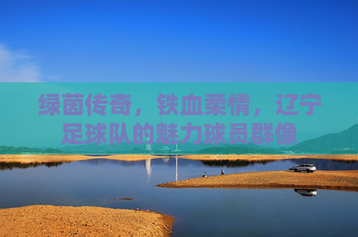 绿茵传奇,铁血柔情,辽宁足球队的魅力球员群像 绿茵传奇,铁血柔情,辽宁足球队的魅力球员群像