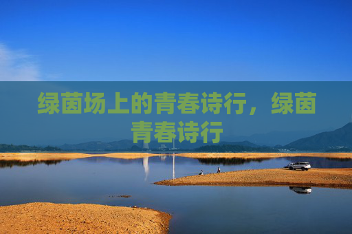 绿茵场上的青春诗行，绿茵青春诗行