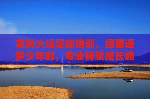 龙岗大运足球培训，绿茵逐梦少年时，专业铸就成长路，龙岗大运足球培训，绿茵逐梦少年，专业铸就成长