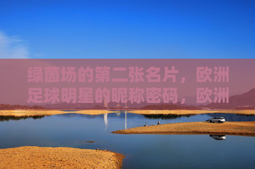 绿茵场的第二张名片，欧洲足球明星的昵称密码，欧洲足球明星的昵称，绿茵场的第二张名片