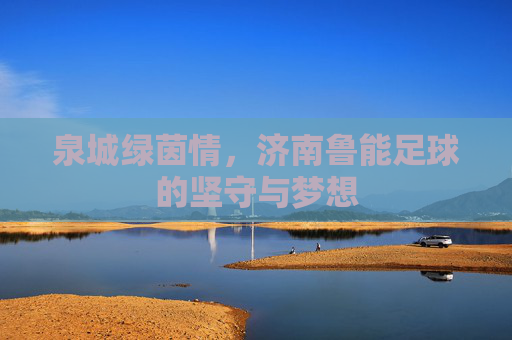 泉城绿茵情，济南鲁能足球的坚守与梦想