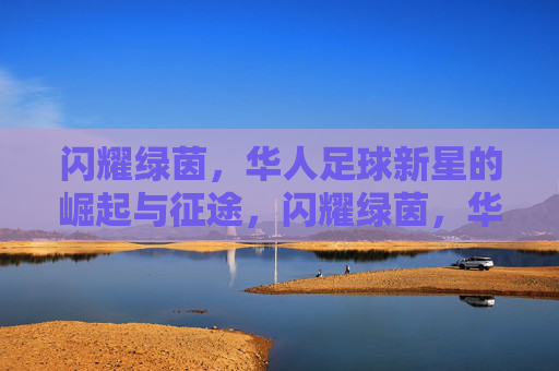 闪耀绿茵，华人足球新星的崛起与征途，闪耀绿茵，华人足球新星的崛起征途