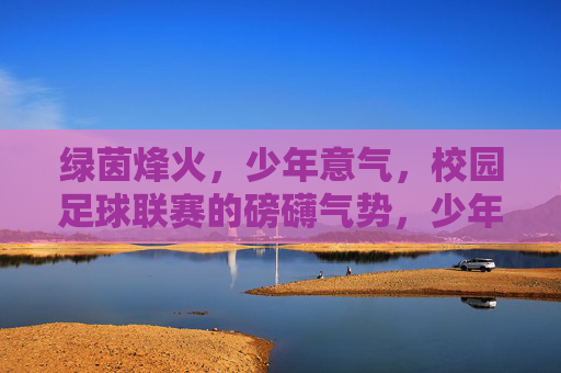 绿茵烽火,少年意气,校园足球联赛的磅礴气势,少年烽火燃绿茵,联赛磅礴意气扬 绿茵烽火,少年意气,校园足球联赛的磅礴气势,少年烽火燃绿茵,联赛磅礴意气扬