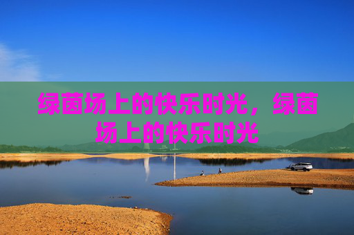 绿茵场上的快乐时光，绿茵场上的快乐时光