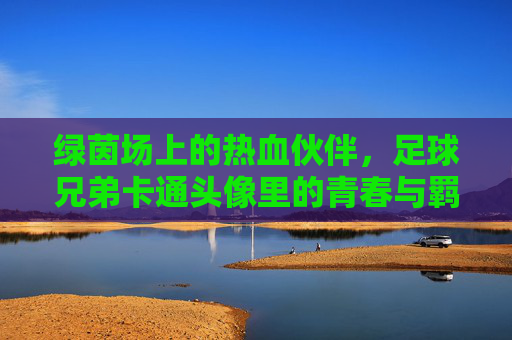 绿茵场上的热血伙伴，足球兄弟卡通头像里的青春与羁绊，足球兄弟，绿茵场上的青春羁绊