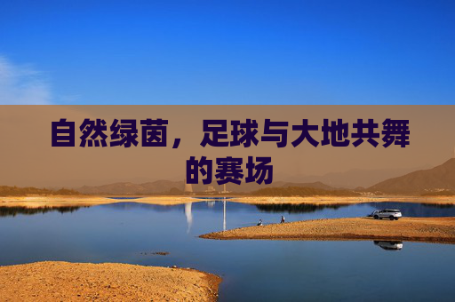 自然绿茵,足球与大地共舞的赛场 自然绿茵,足球与大地共舞的赛场