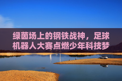 绿茵场上的钢铁战神,足球机器人大赛点燃少年科技梦 绿茵场上的钢铁战神,足球机器人大赛点燃少年科技梦