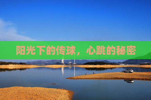 阳光下的传球,心跳的秘密 阳光下的传球,心跳的秘密