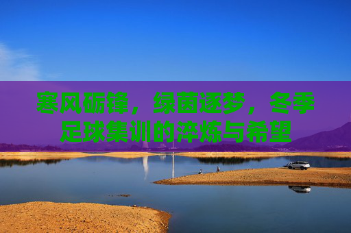 寒风砺锋,绿茵逐梦,冬季足球集训的淬炼与希望 寒风砺锋,绿茵逐梦,冬季足球集训的淬炼与希望