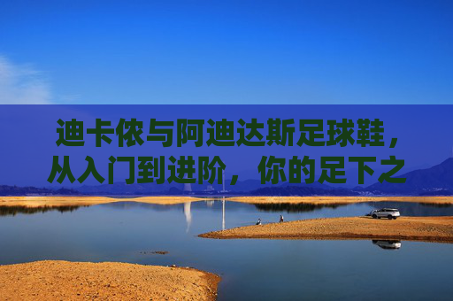 迪卡侬与阿迪达斯足球鞋，从入门到进阶，你的足下之选，迪卡侬与阿迪达斯足球鞋，从入门到进阶的足下之选