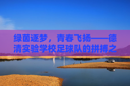 绿茵逐梦，青春飞扬——德清实验学校足球队的拼搏之路，绿茵逐梦，青春飞扬——德清实验足球队拼搏之路