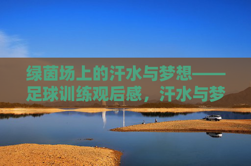 绿茵场上的汗水与梦想——足球训练观后感，汗水与梦想，绿茵场足球训练观后感