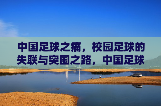 中国足球之痛，校园足球的失联与突围之路，中国足球之痛，校园足球失联与突围之路
