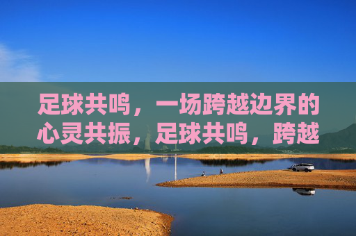 足球共鸣，一场跨越边界的心灵共振，足球共鸣，跨越边界的心灵共振