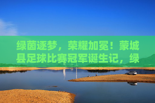 绿茵逐梦，荣耀加冕！蒙城县足球比赛冠军诞生记，绿茵逐梦，蒙城县足球冠军荣耀加冕
