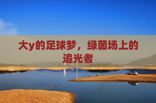 大y的足球梦，绿茵场上的追光者
