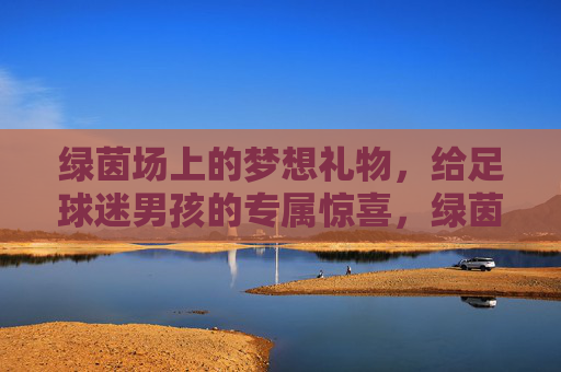 绿茵场上的梦想礼物,给足球迷男孩的专属惊喜,绿茵场上的梦想礼物,足球迷男孩专属惊喜 绿茵场上的梦想礼物,给足球迷男孩的专属惊喜,绿茵场上的梦想礼物,足球迷男孩专属惊喜