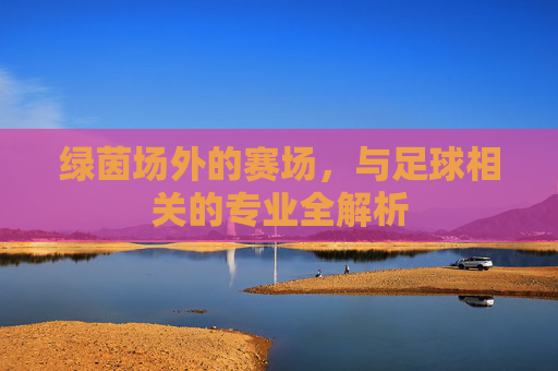 绿茵场外的赛场,与足球相关的专业全解析 绿茵场外的赛场,与足球相关的专业全解析