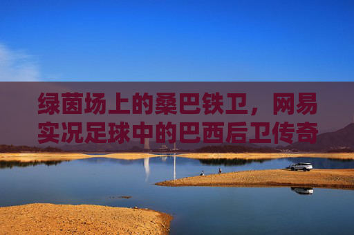 绿茵场上的桑巴铁卫,网易实况足球中的巴西后卫传奇 绿茵场上的桑巴铁卫,网易实况足球中的巴西后卫传奇