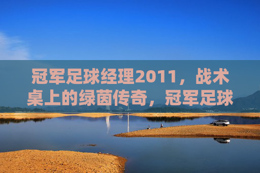 冠军足球经理2011，战术桌上的绿茵传奇，冠军足球经理2011，战术桌上的绿茵传奇