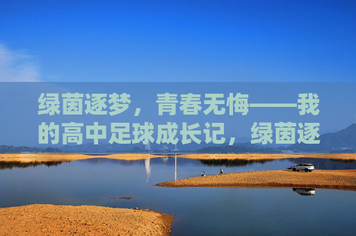 绿茵逐梦，青春无悔——我的高中足球成长记，绿茵逐梦，青春无悔