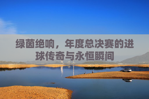 绿茵绝响，年度总决赛的进球传奇与永恒瞬间