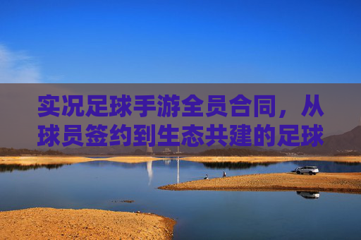 实况足球手游全员合同，从球员签约到生态共建的足球梦想新篇
