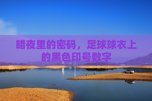 暗夜里的密码，足球球衣上的黑色印号数字