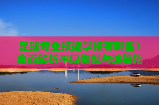 足球专业技能学校有哪些？全面解析不同类型与选择指南