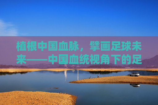 植根中国血脉，擘画足球未来——中国血统视角下的足球发展新路径