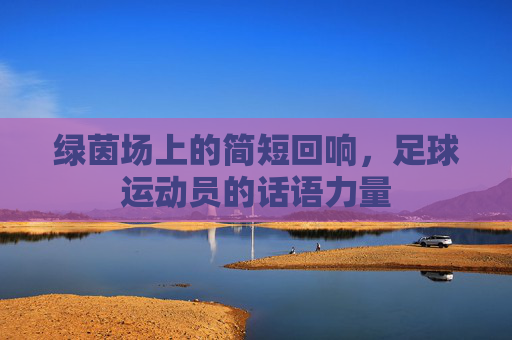绿茵场上的简短回响，足球运动员的话语力量