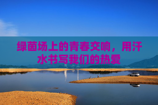 绿茵场上的青春交响，用汗水书写我们的热爱