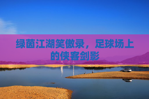 绿茵江湖笑傲录，足球场上的侠客剑影