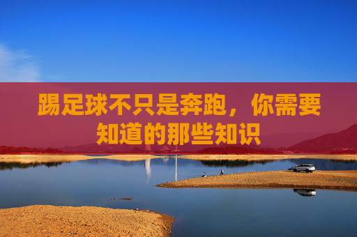 踢足球不只是奔跑，你需要知道的那些知识