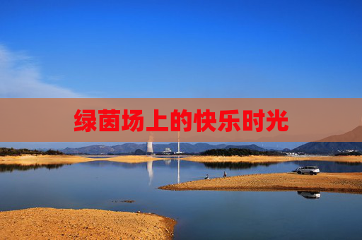 绿茵场上的快乐时光 绿茵场上的快乐时光