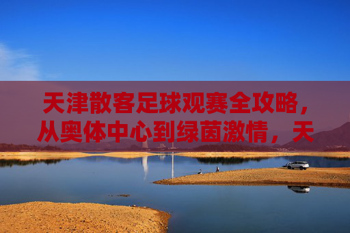 天津散客足球观赛全攻略，从奥体中心到绿茵激情，天津散客足球观赛全攻略，奥体中心点燃绿茵激情