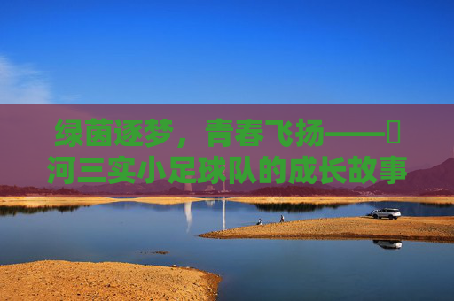 绿茵逐梦，青春飞扬——瀍河三实小足球队的成长故事